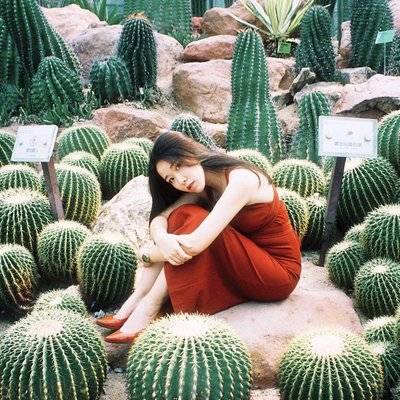 胶片模特