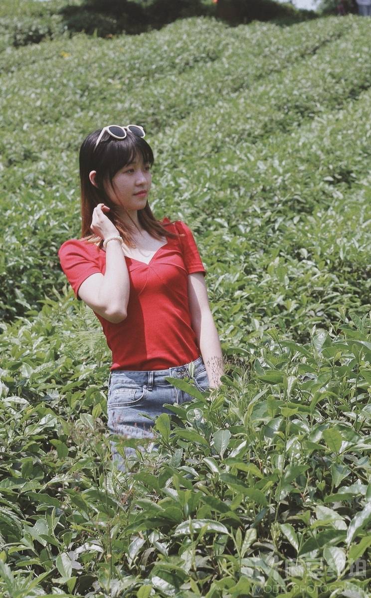 胶片模特