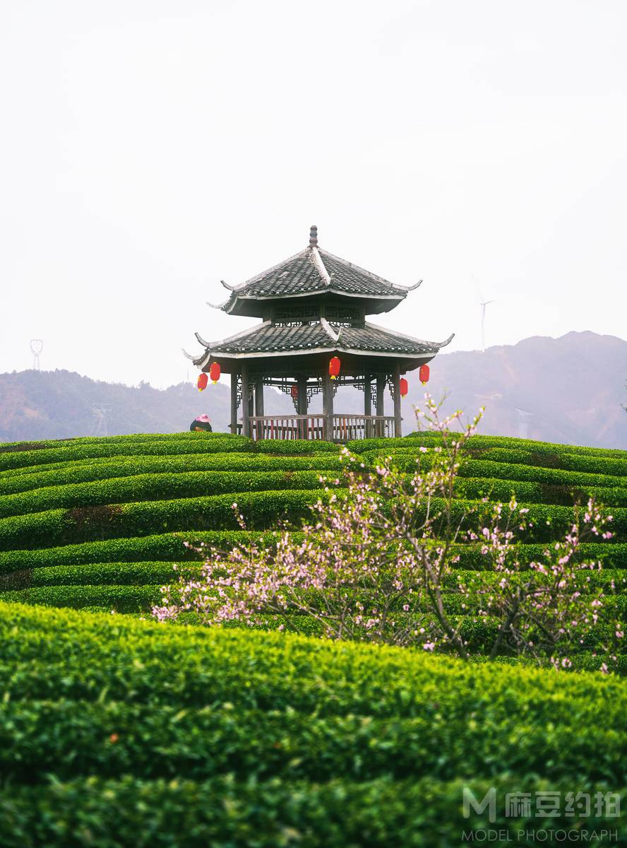 纪实模特