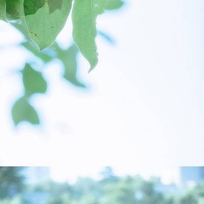 私房模特