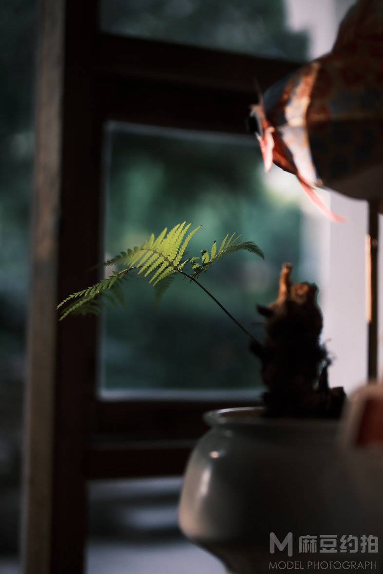复古模特