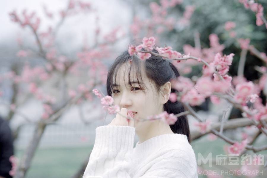 清新模特