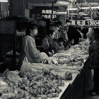 黑白模特