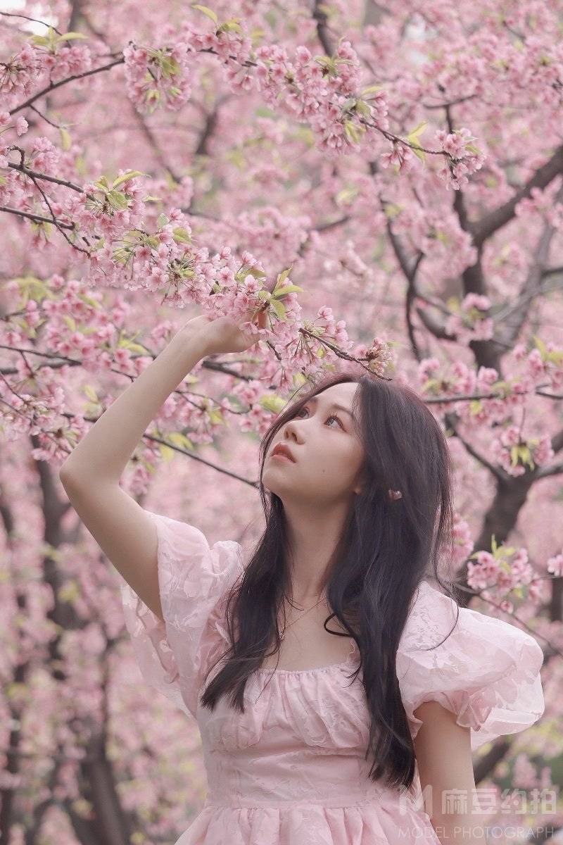 清新模特