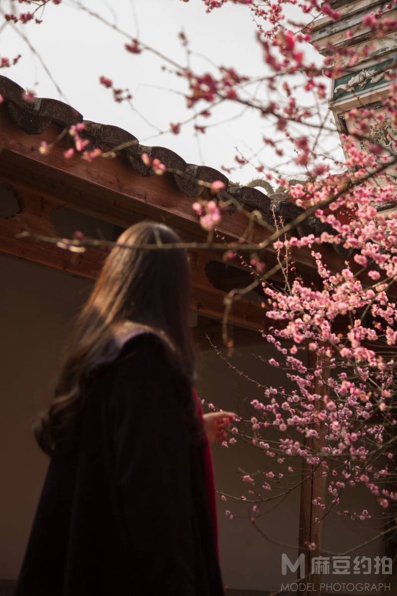 胶片模特