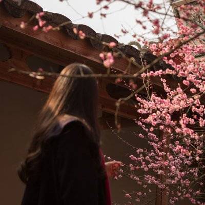 旗袍模特