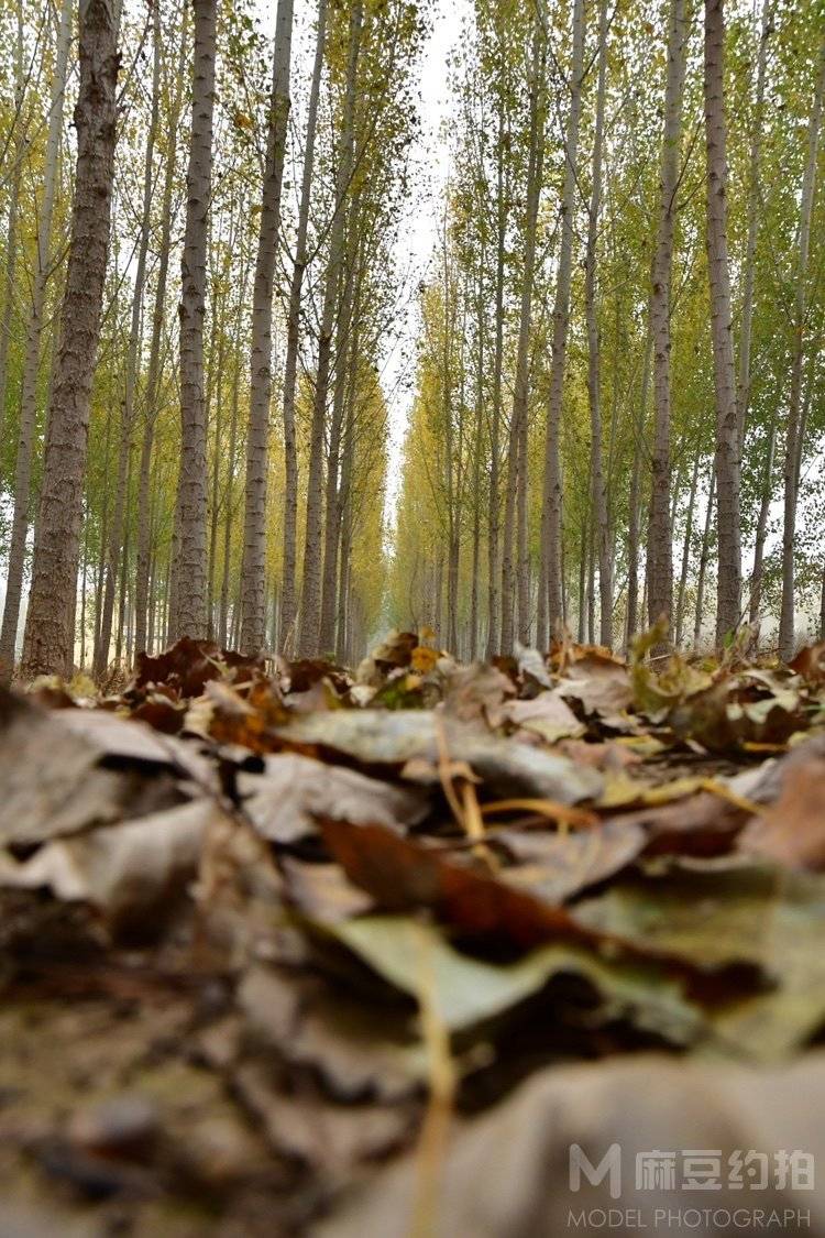 纪实模特