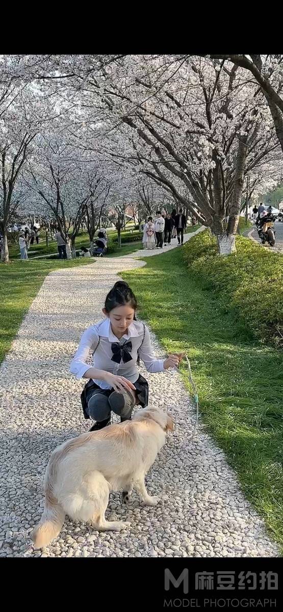 校园模特