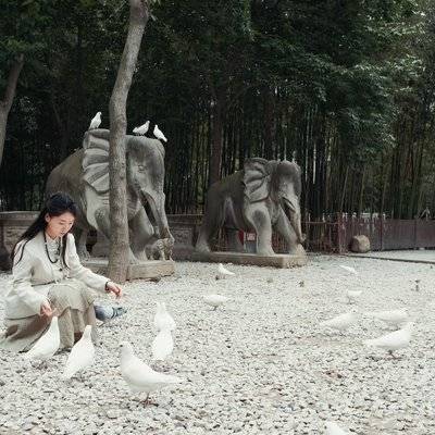 古风模特