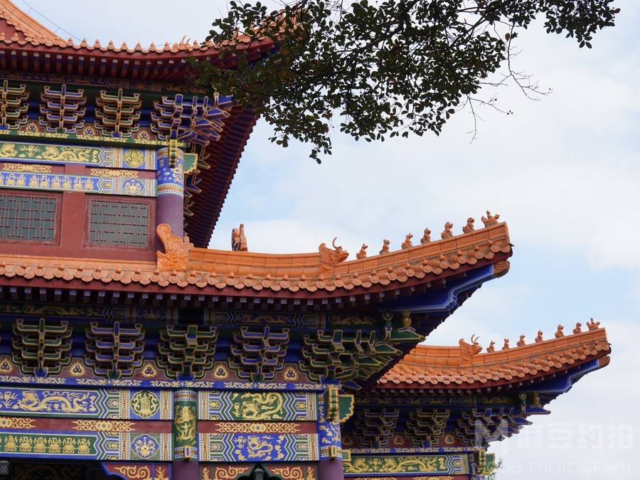 纪实模特