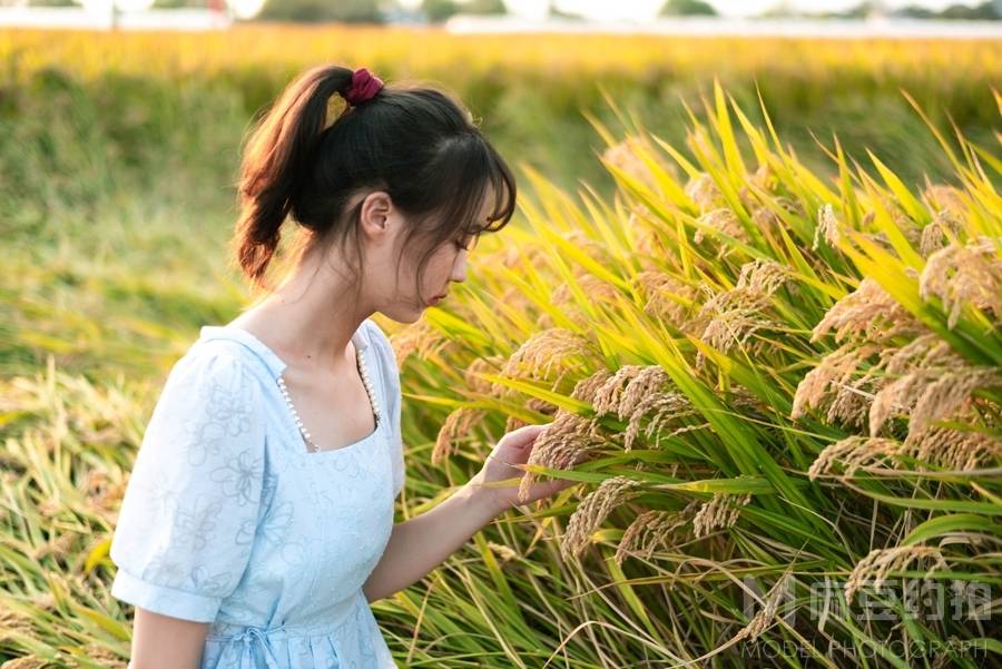 清新模特