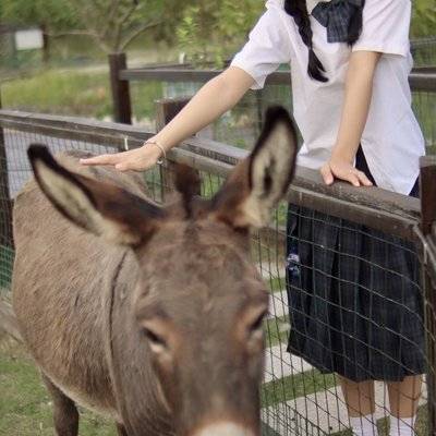 校园模特