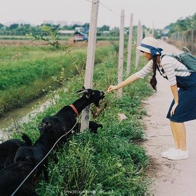 日系模特