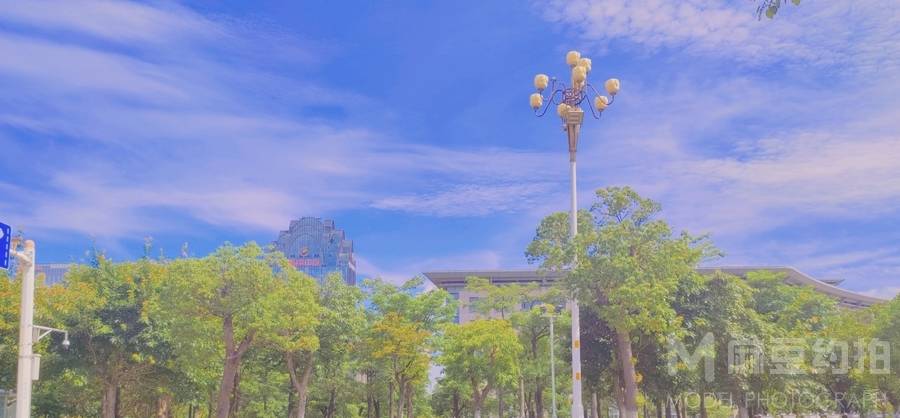 清新模特