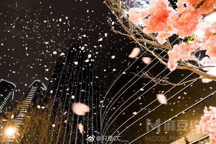 夜景模特