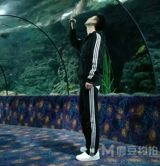 商务模特
