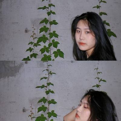 韩系模特