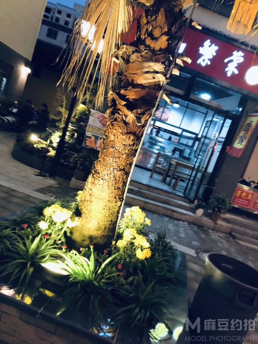 纪实模特