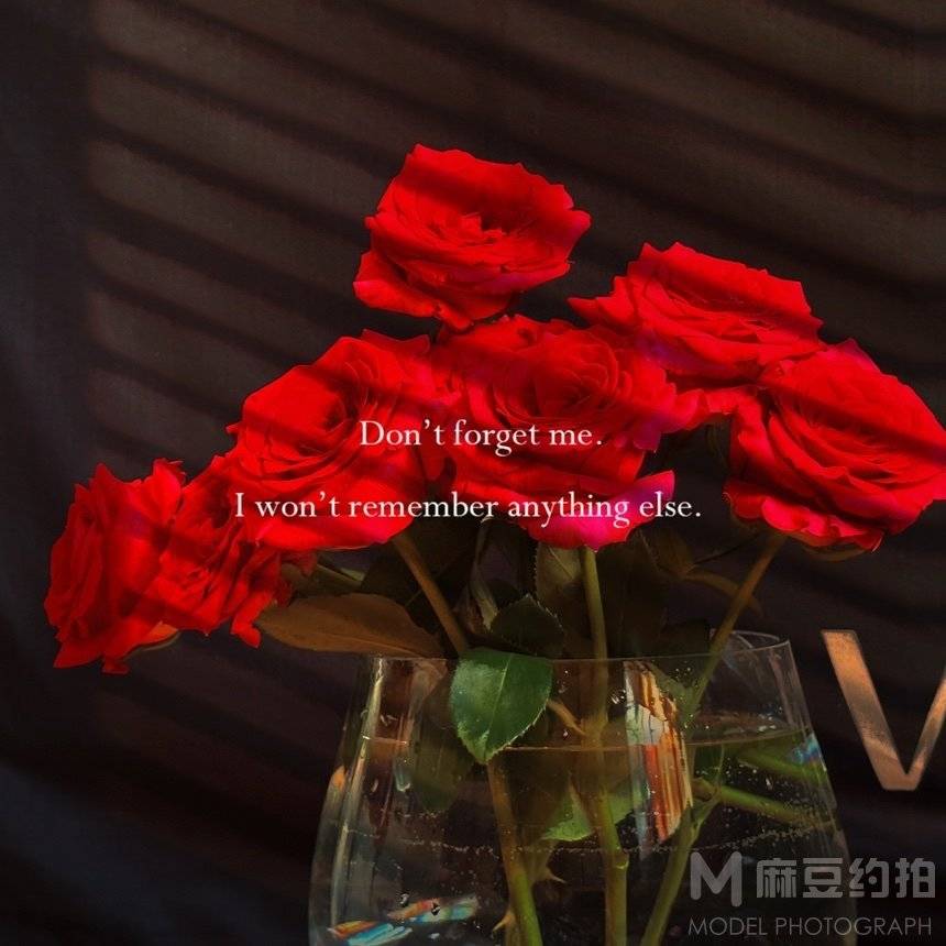 胶片模特