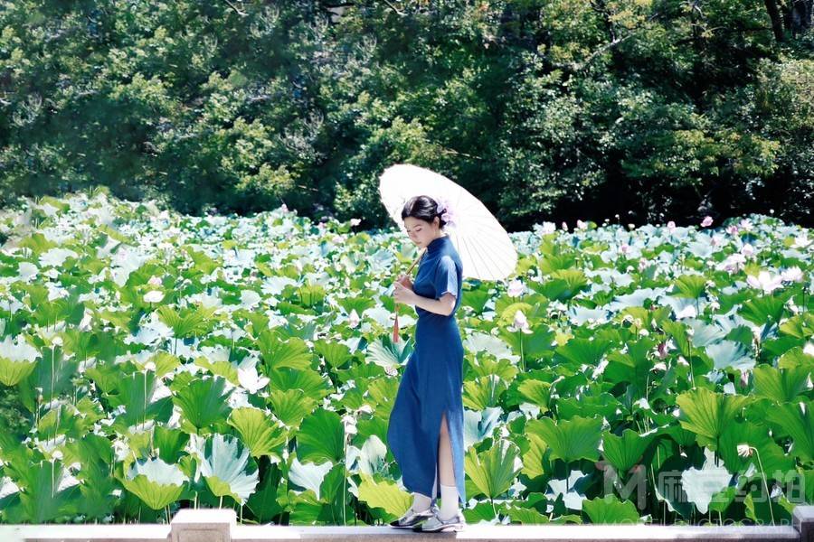 民国模特