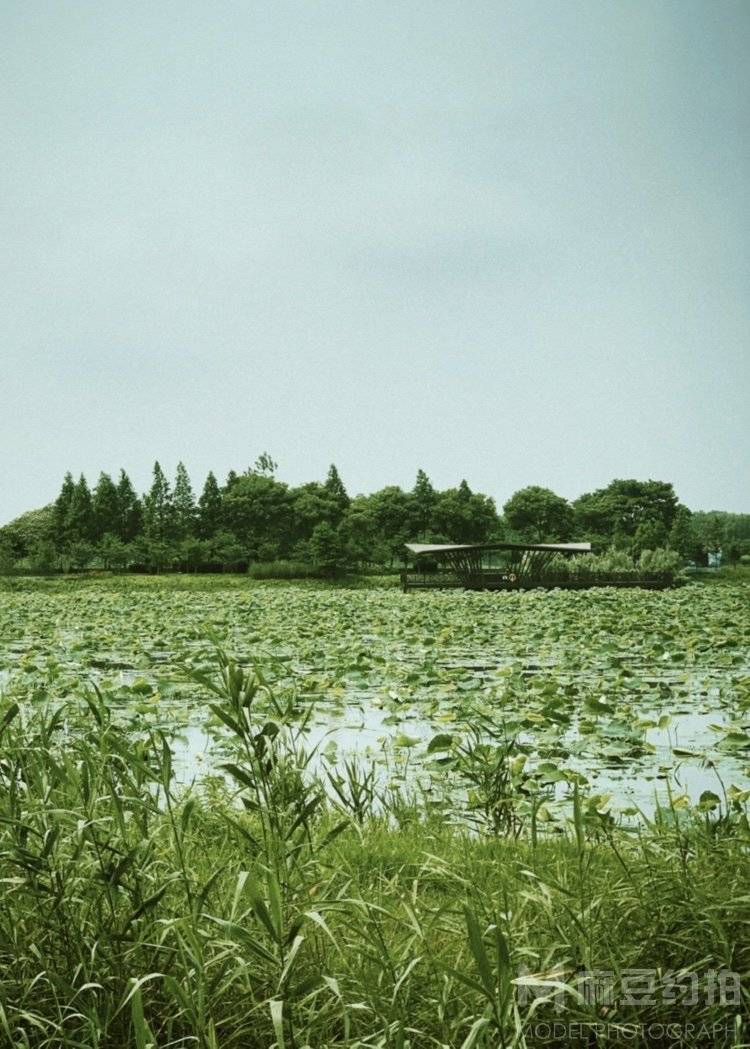胶片模特