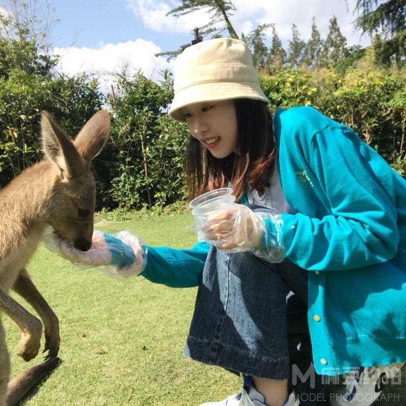 清新模特