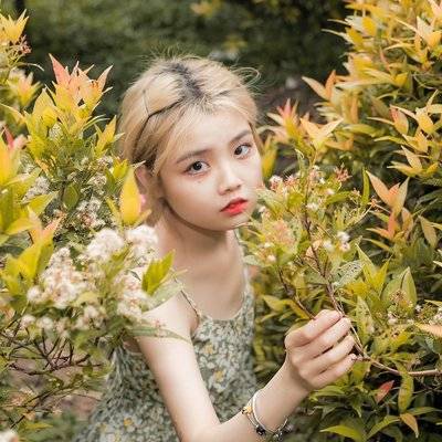 清新模特
