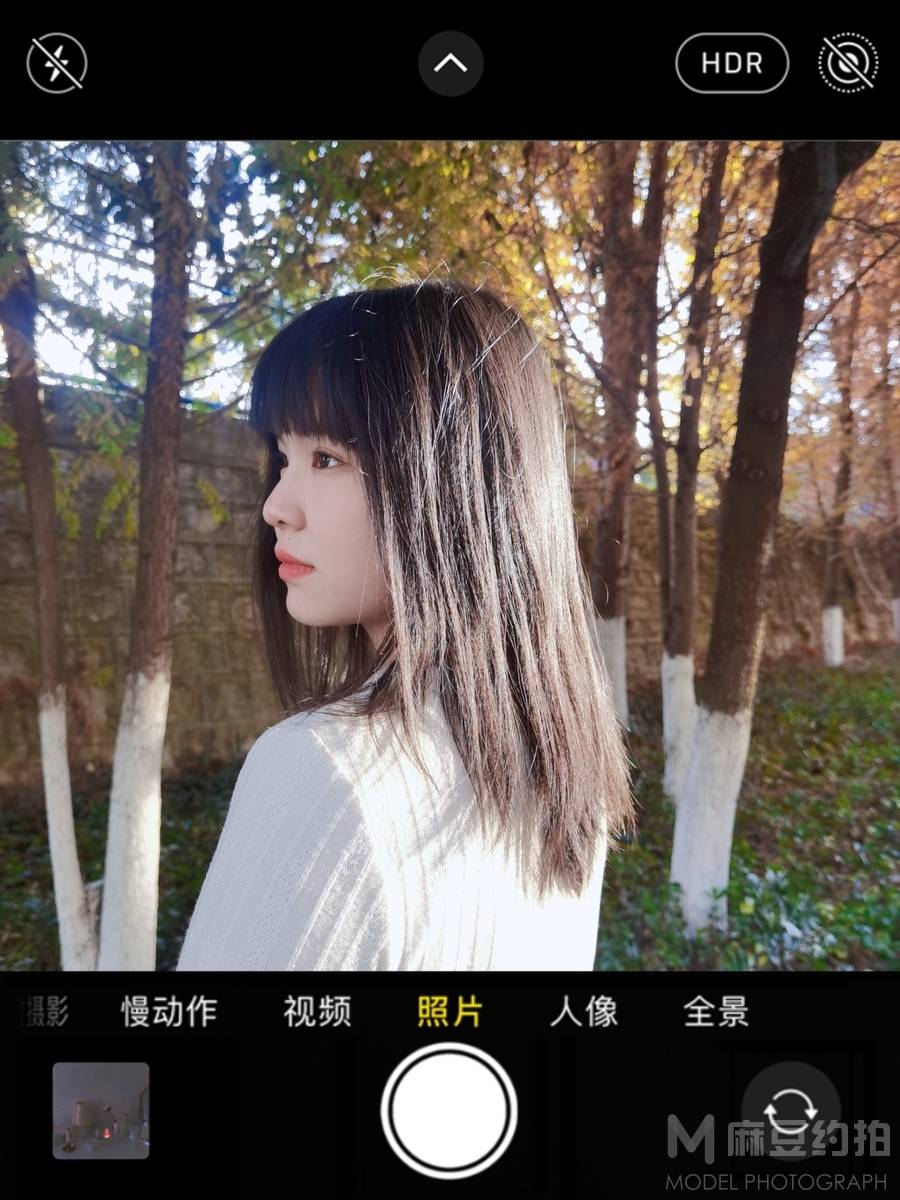 清新模特