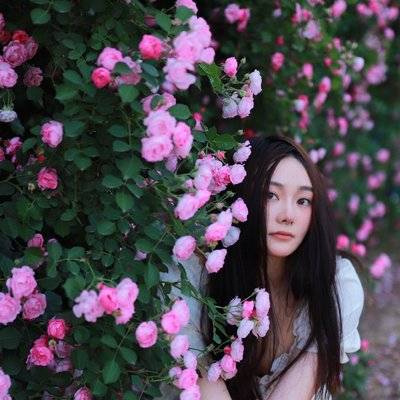 清新模特