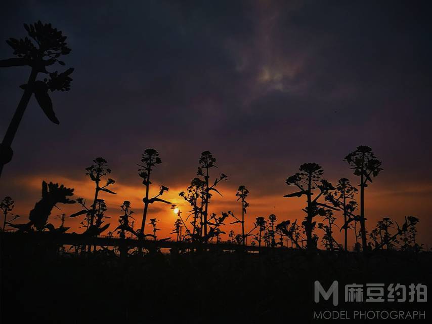 胶片模特