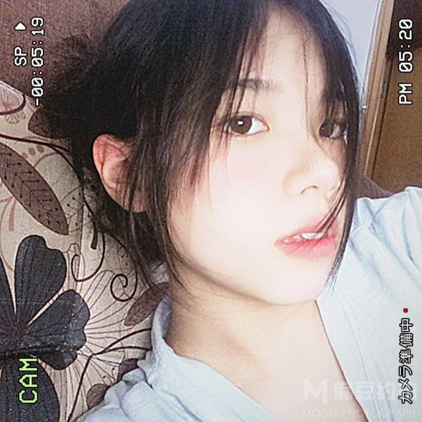 胶片模特