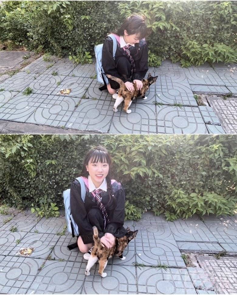 校园模特