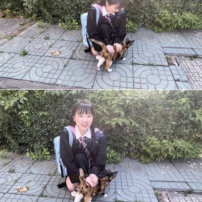校园模特
