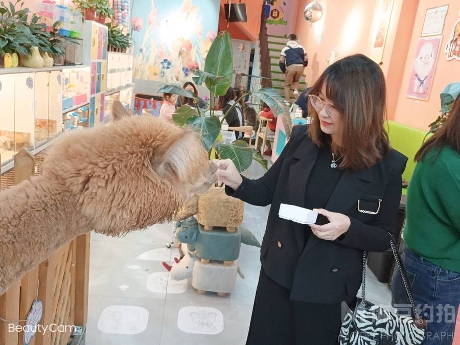 纪实模特
