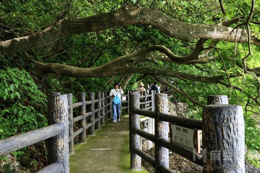 纪实模特