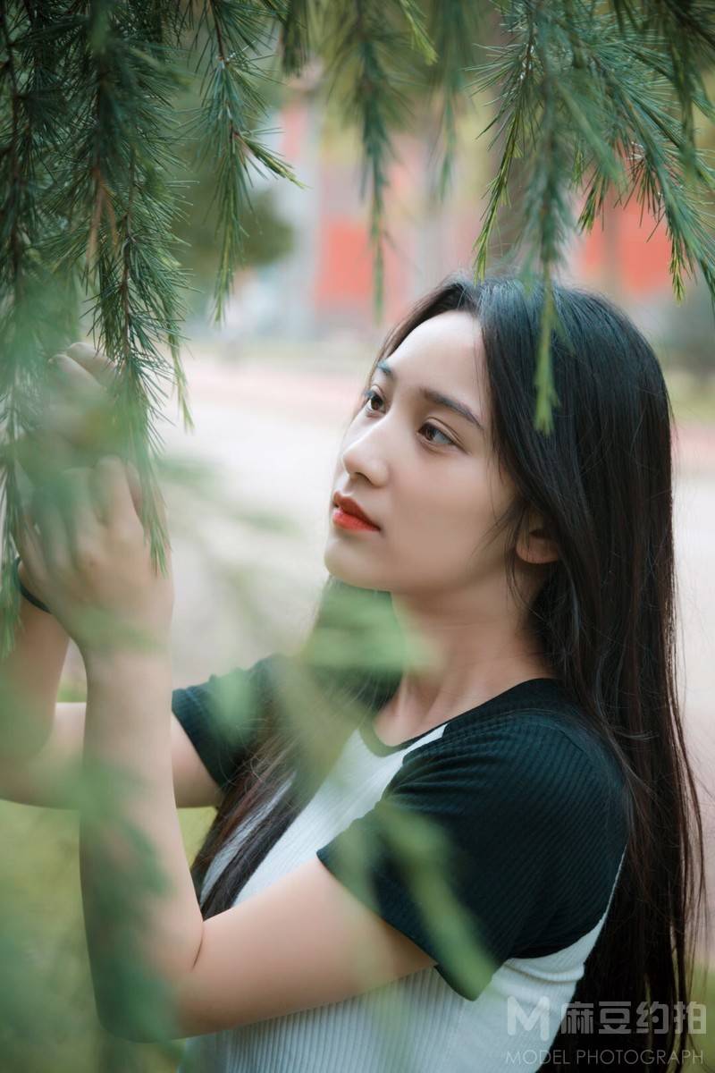 校园模特