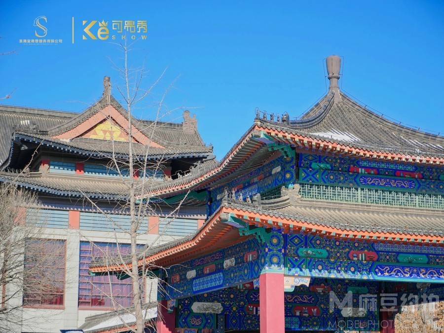 纪实模特