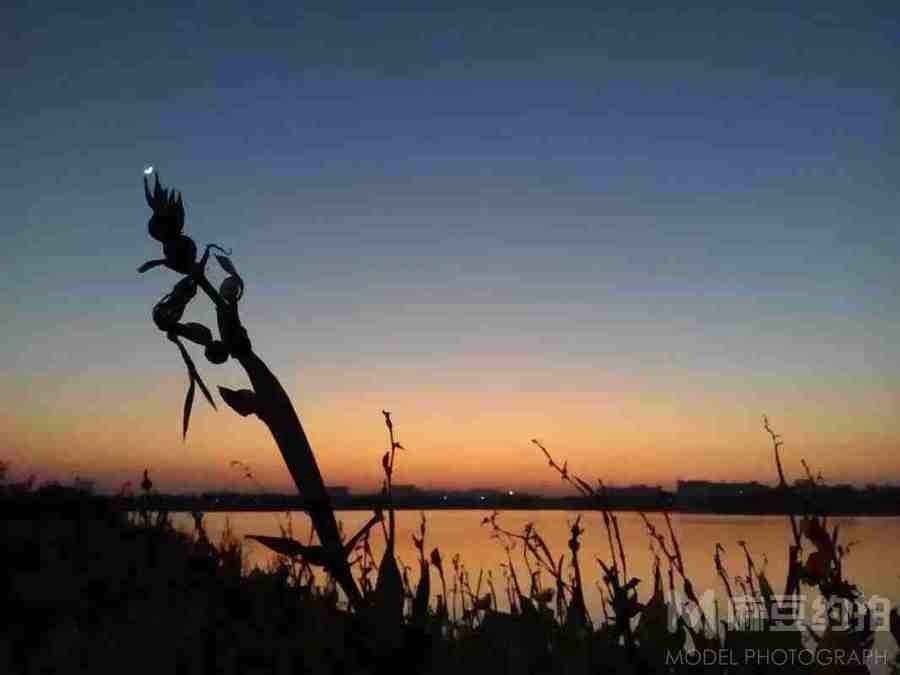 夜景模特