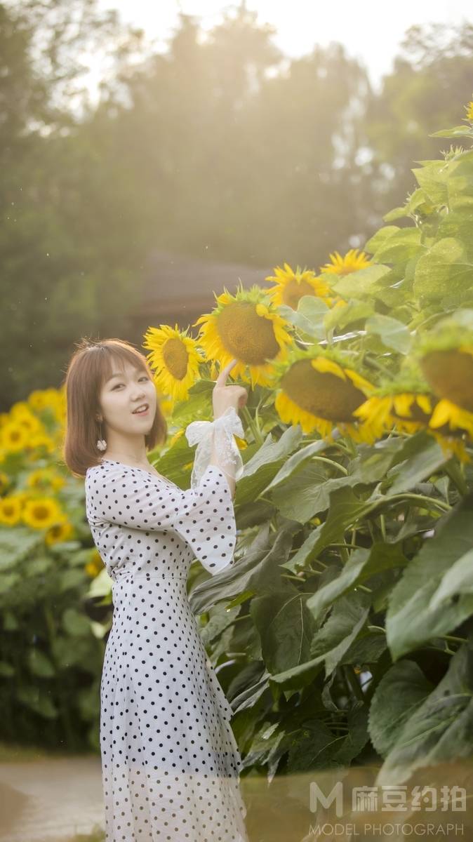 清新模特