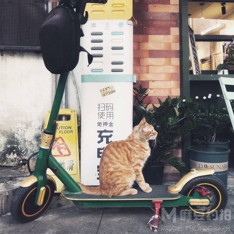纪实模特