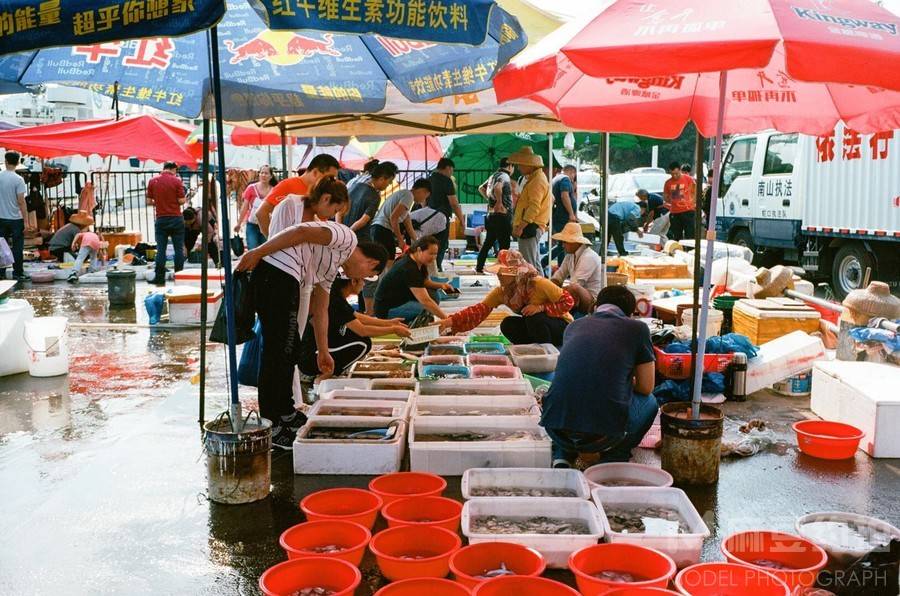 胶片模特