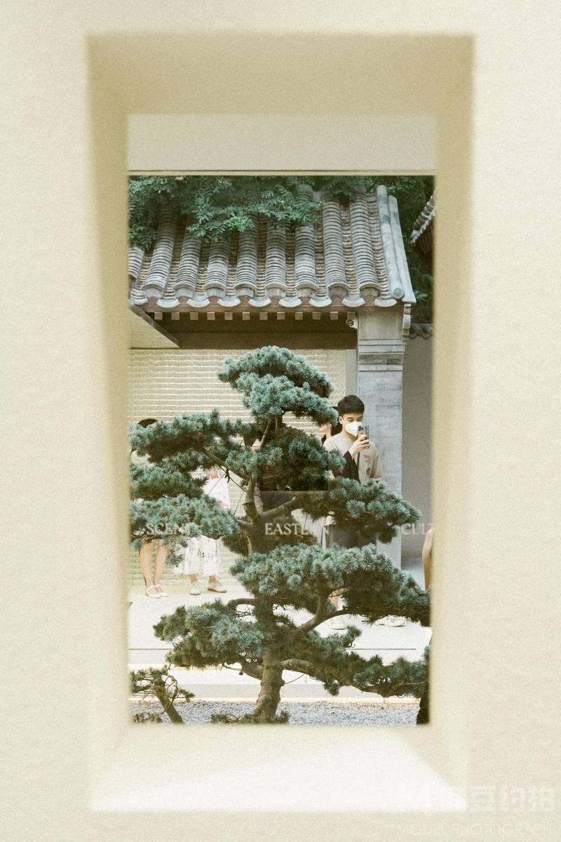 胶片模特