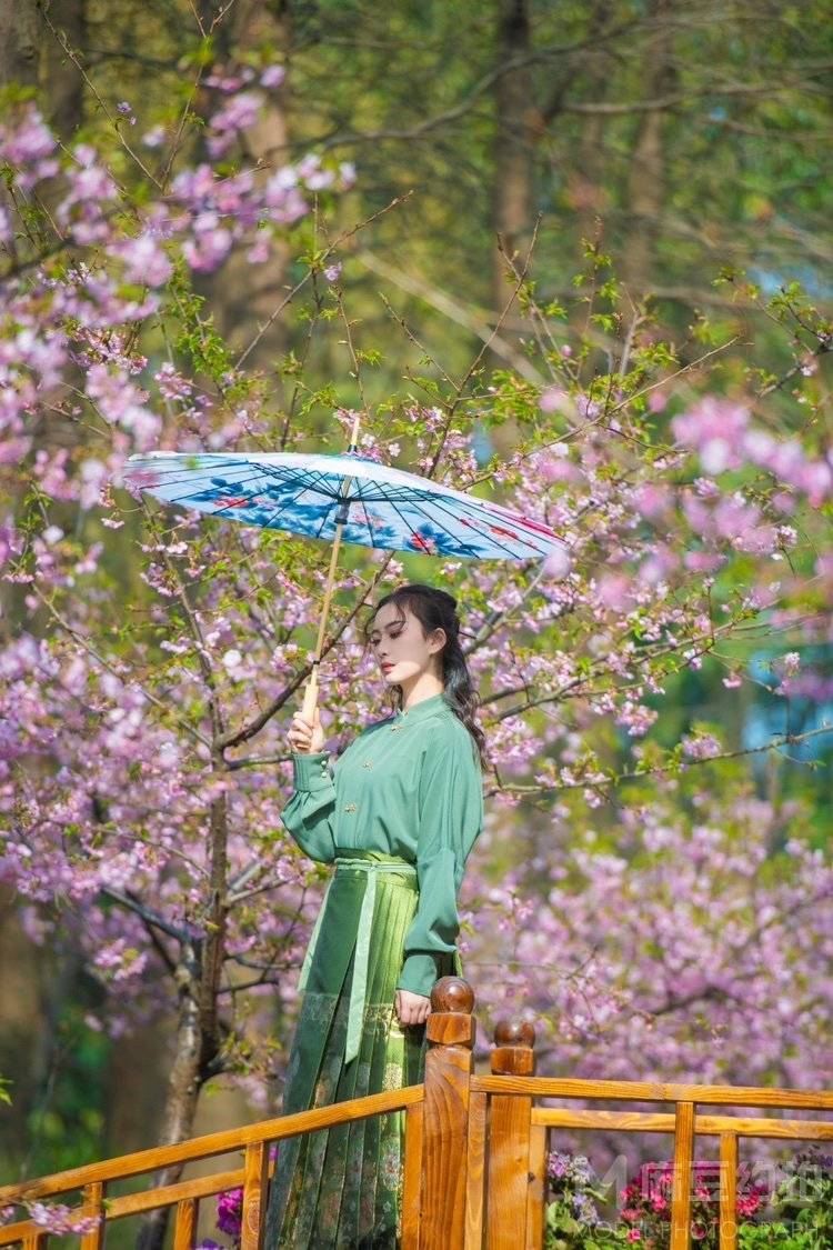 清新模特