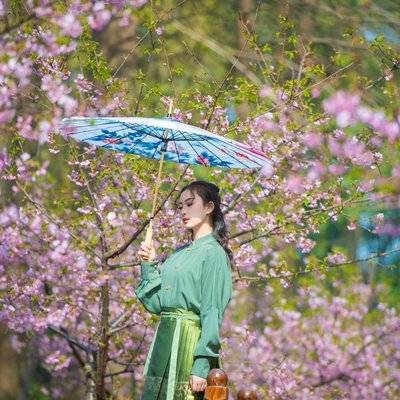 清新模特