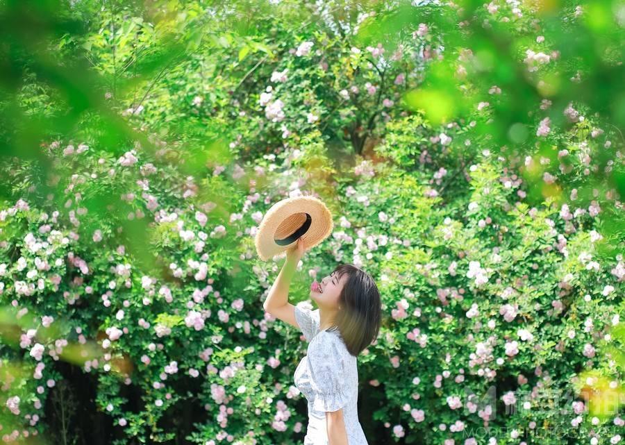 清新模特