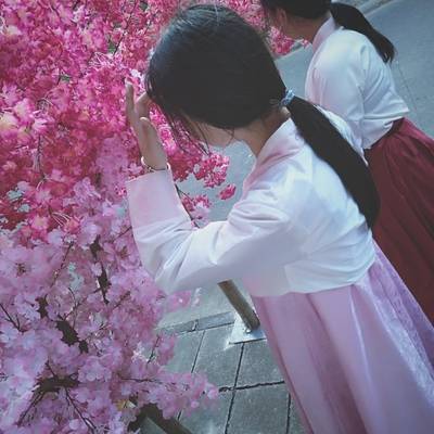 韩系模特