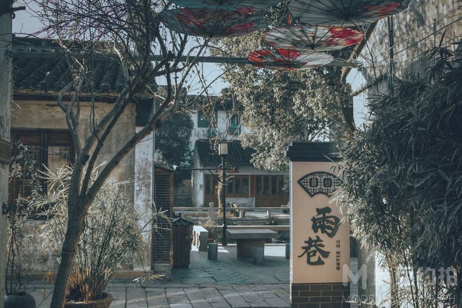 纪实模特