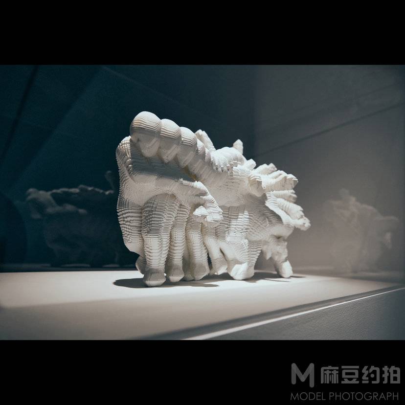 胶片模特