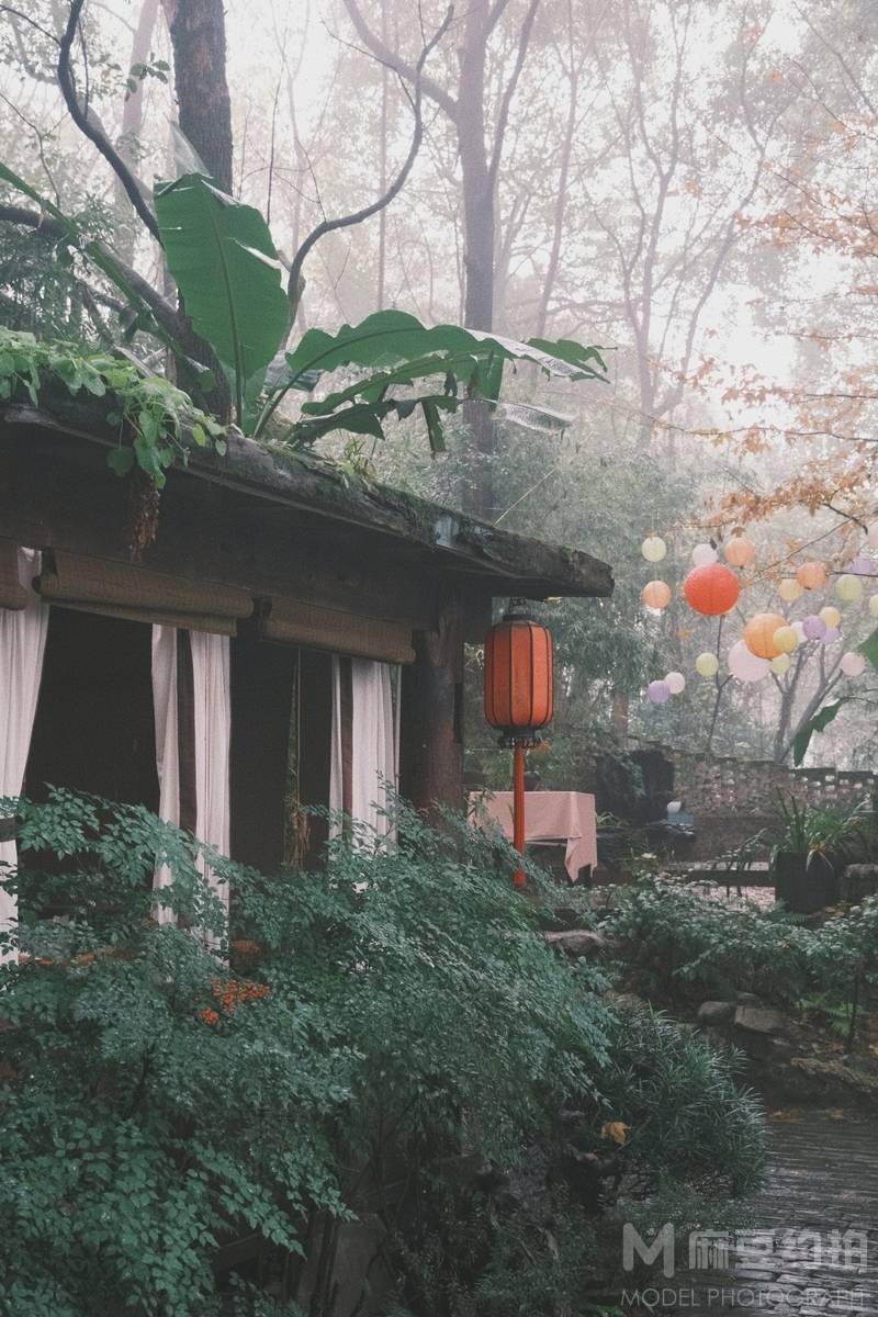 胶片模特