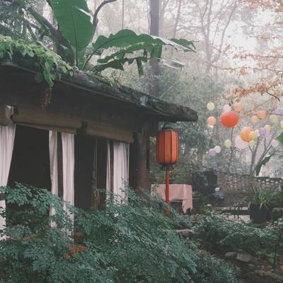 胶片模特